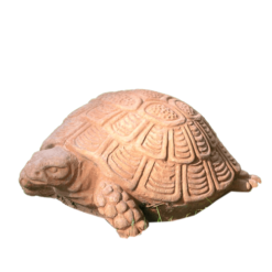 scultura-terracotta-tartaruga-decorazione-interni-esterni-cosebelleantichemoderne